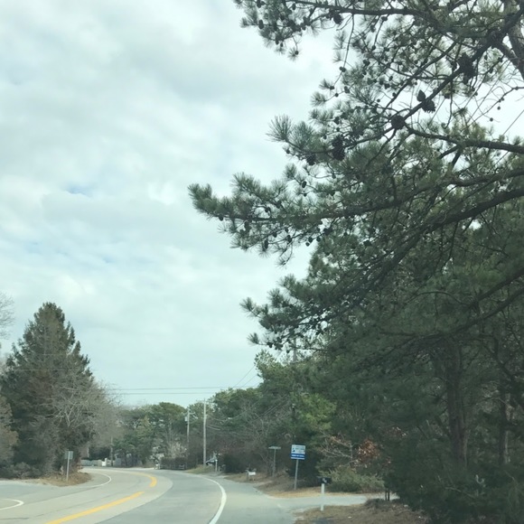 Meet your Posher, Kelly - Picture 1 of 1